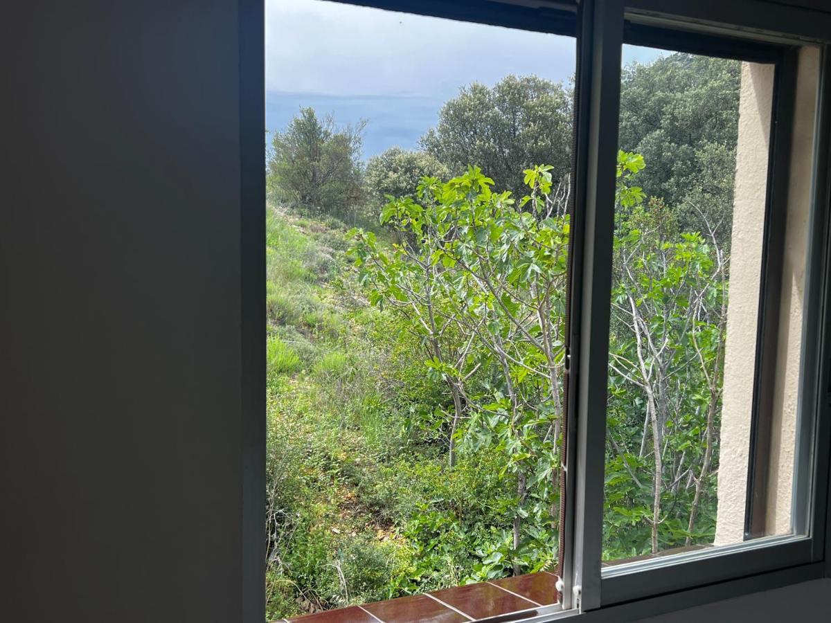 Apartaments La Pertusa 2O Corca  Екстериор снимка